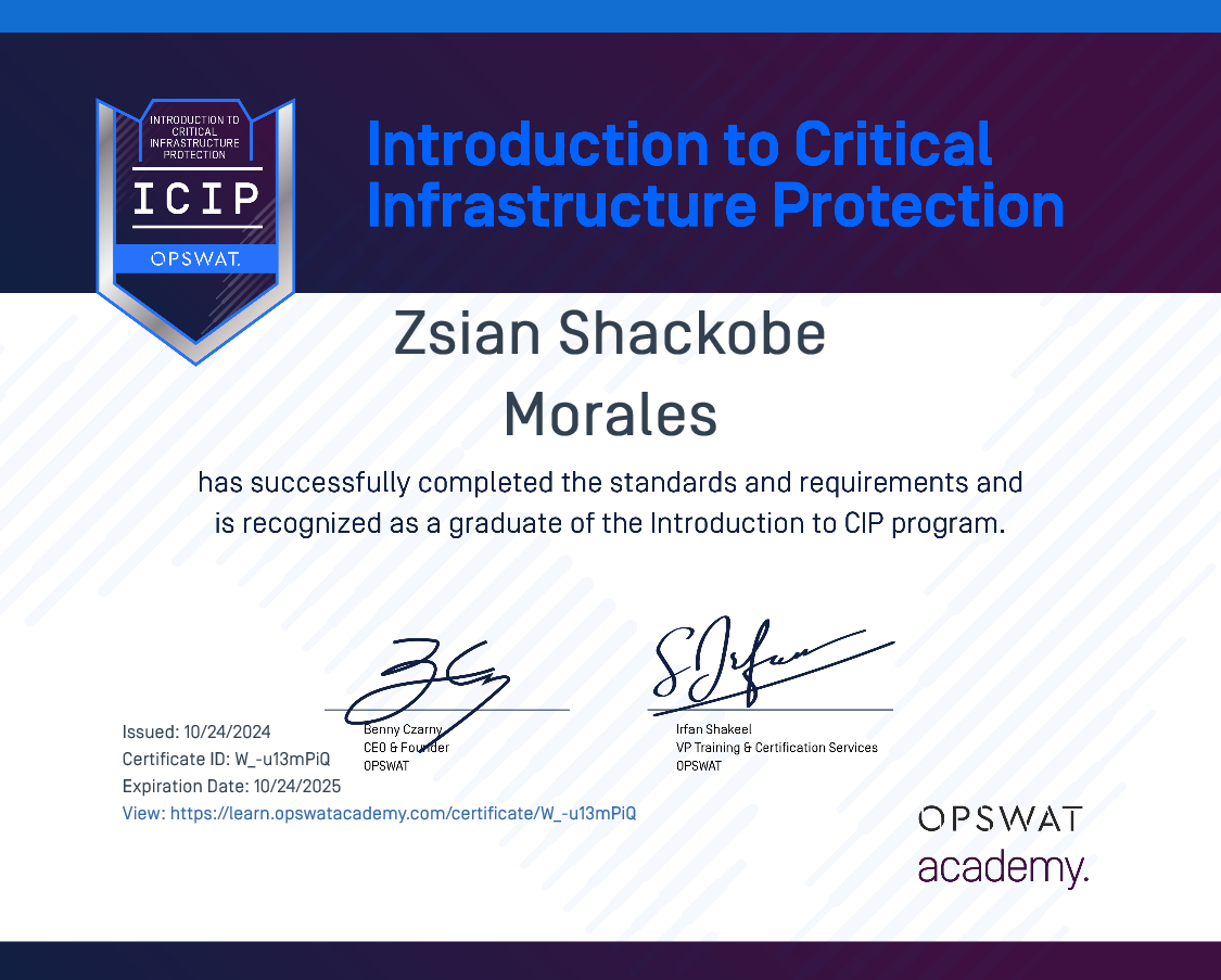 Critical Infrastructure Protection